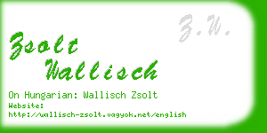 zsolt wallisch business card